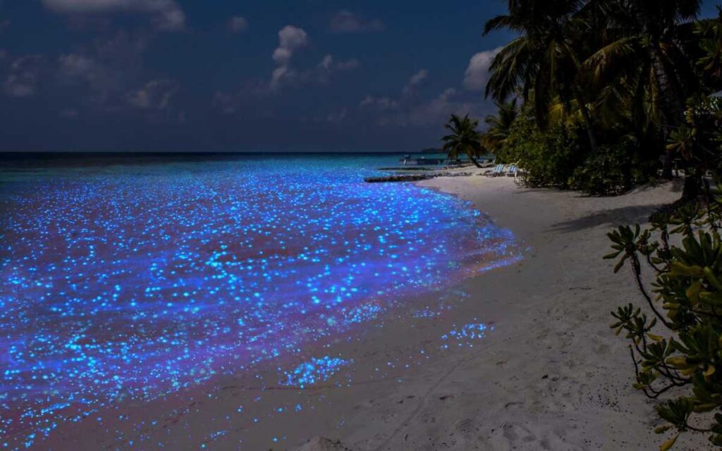 Sparkling Beach, the Maldives